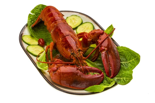 Large Lobster — Stock Photo, Image