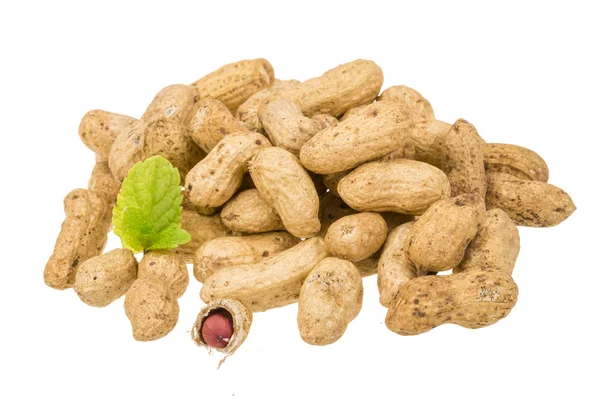 Peanut — Stock Photo, Image