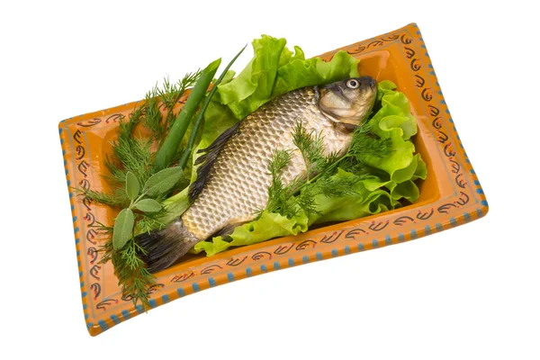 Crucian — Stock Photo, Image