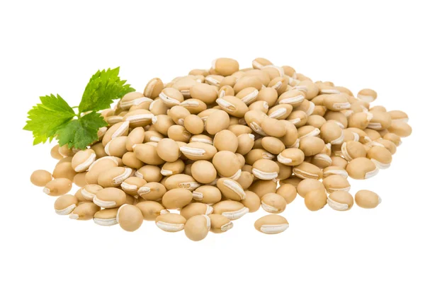 White beans — Stock Photo, Image