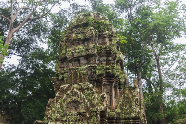 Komplex angkor wat — Stock fotografie