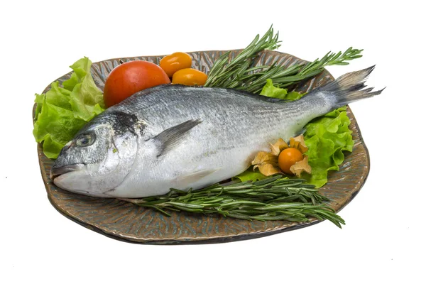 Raw dorado with herbs — Stock Photo, Image