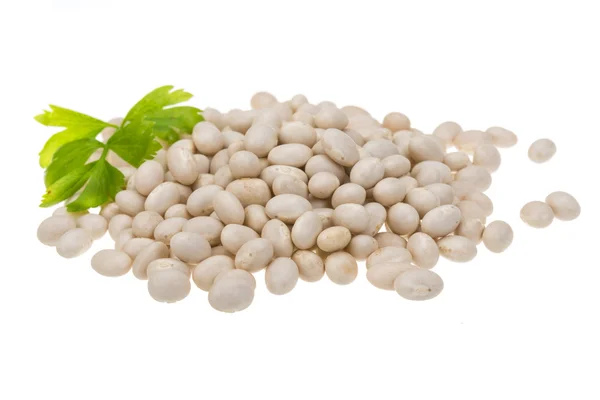 White beans — Stock Photo, Image