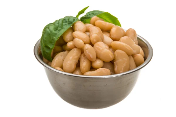 Tinned bean — Stock Photo, Image