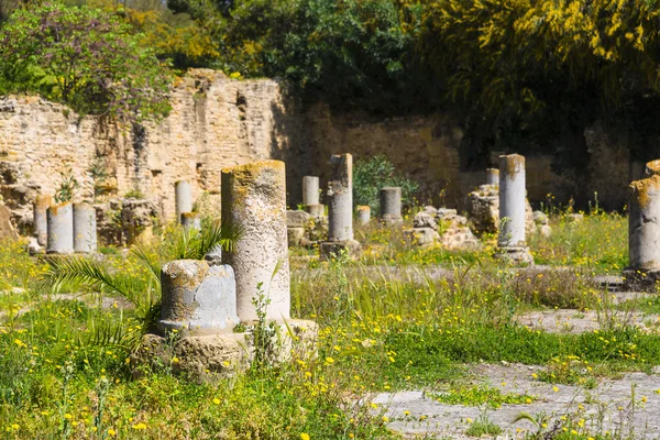 Oude ruïnes Carthago — Stockfoto