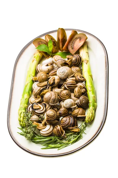 Escargot, spárga, a rozmaring, a csecsemőmirigy és a paradicsom — Stock Fotó