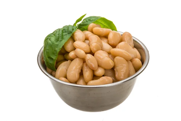 Tinned bean — Stock Photo, Image