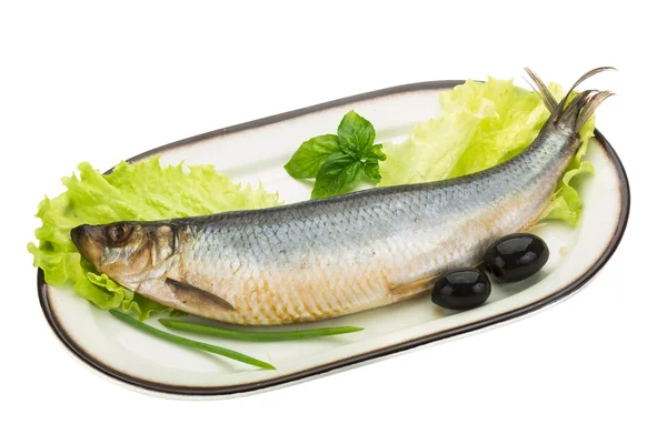 Salted Herring — Stock Photo, Image