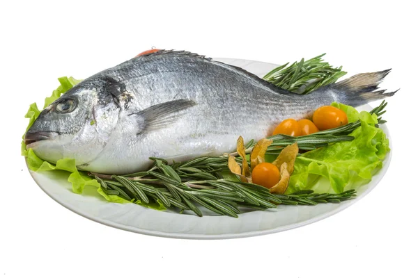 Raw dorado with herbs — Stock Photo, Image