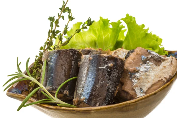 Tinned Pacific saury — Stock Image Tinned Pacific saury Stock Image