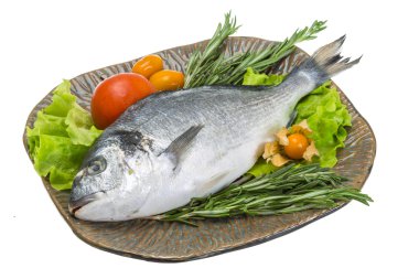 otlar ile ham dorado