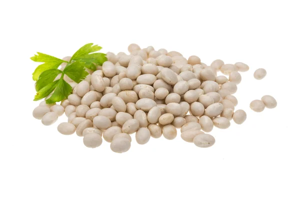 stock image White beans