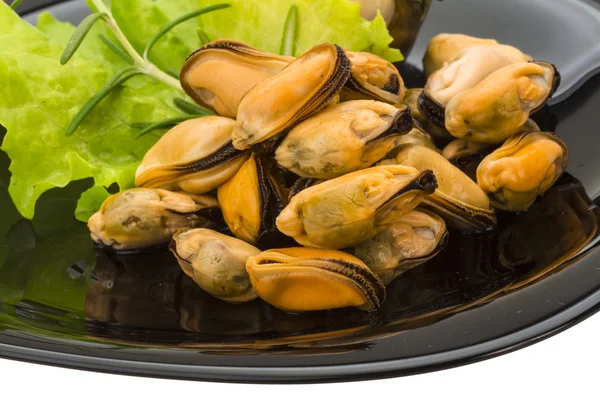 Marinerade musslor — Stockfoto