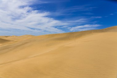 Maspalomas Duna - Kanarya adası Büyük Kanarya Çölü