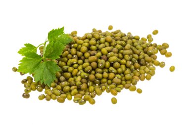 yeşil fasulye izole