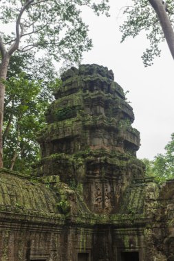 Angkor wat karmaşık