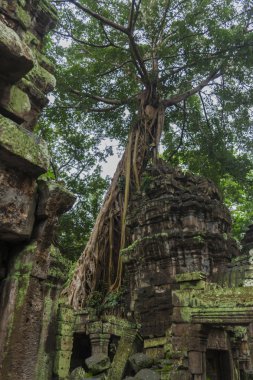 Angkor wat karmaşık