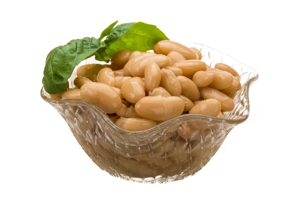 Tinned bean — Stock Photo, Image