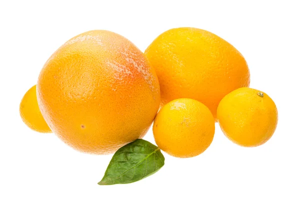 Tangerin, a grépfrút és a narancs — Stock Fotó