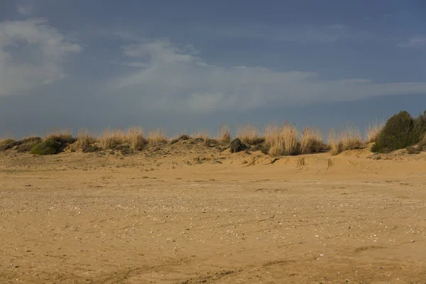 Duna del desierto —  Fotos de Stock