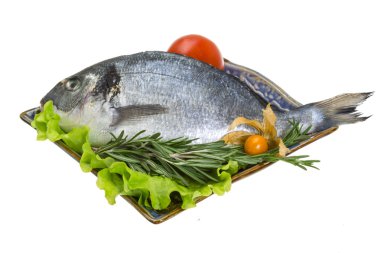 otlar ile ham dorado