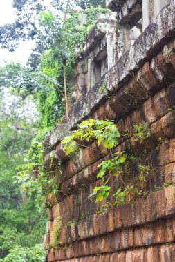 Angkor wat karmaşık