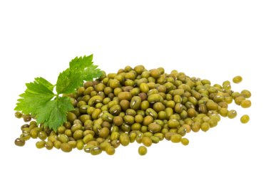 yeşil fasulye izole