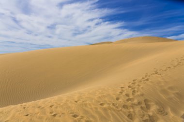 Maspalomas Duna - Kanarya adası Büyük Kanarya Çölü