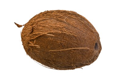 Hindistan cevizi