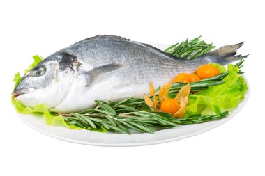 ham dorada