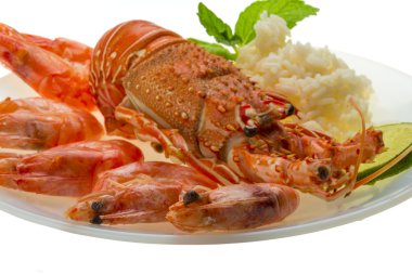 spiny ıstakoz, karides ve pirinç