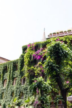 Bina kalıntıları ve antik sütunlar, Roma, İtalya