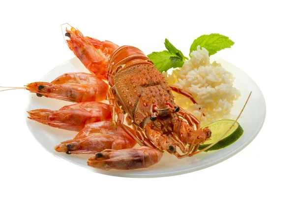 Lobster berduri, udang dan beras — Stok Foto