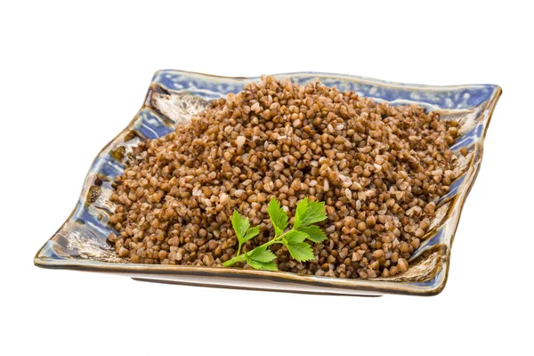 Buckwheat — Stock Photo, Image