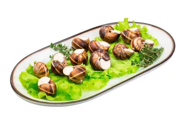 Escargot. —  Fotos de Stock