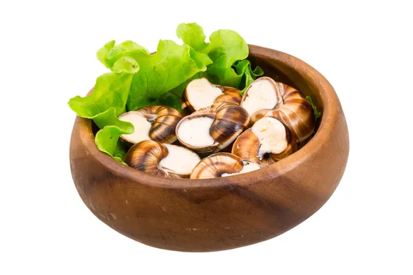 Escargot — Stock Photo, Image