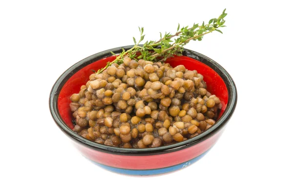 Backed lentils — Stock Photo, Image