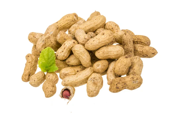 Peanut — Stock Photo, Image