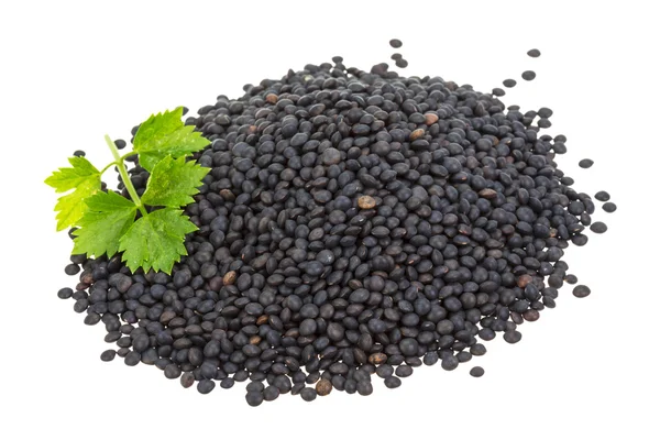 Black lentils — Stock Photo, Image