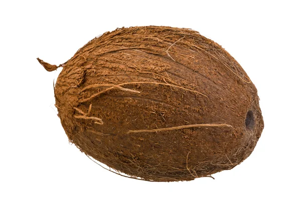 Coconut — Stock Photo, Image