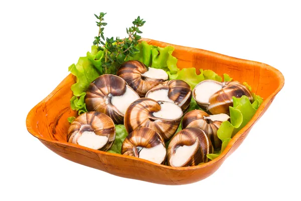 Escargot — Stock Photo, Image