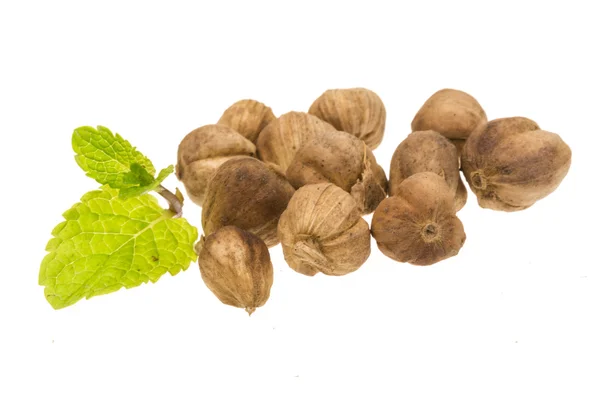 Cardamon seed — Stock Photo, Image