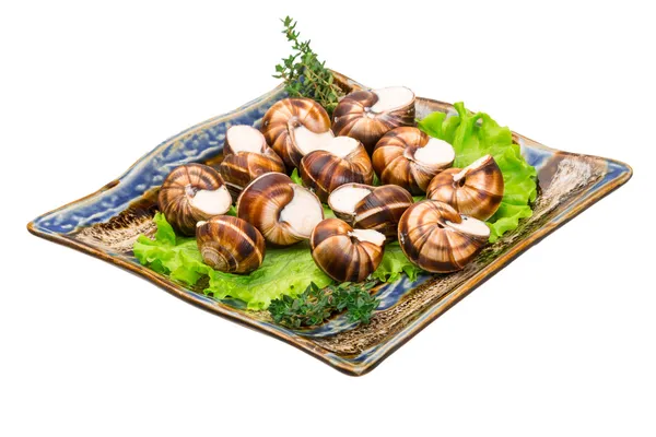 Escargot — Foto Stock