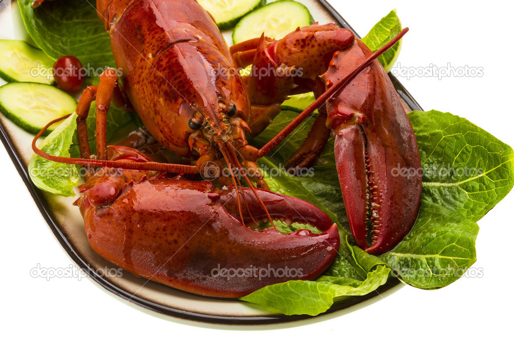 Large Lobster