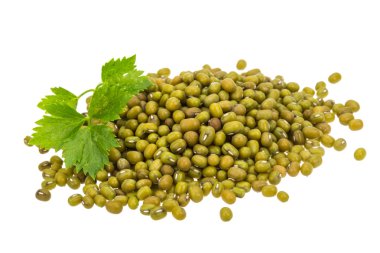 yeşil fasulye izole