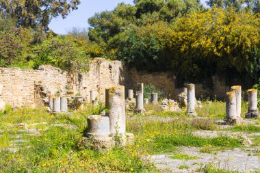 eski Kartaca Harabeleri