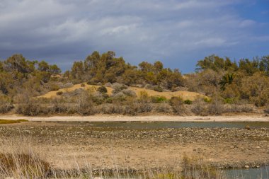 maspalomas dunas vahası