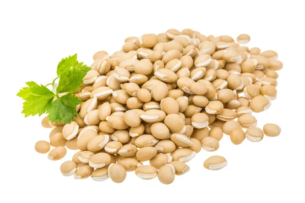 White beans — Stock Photo, Image