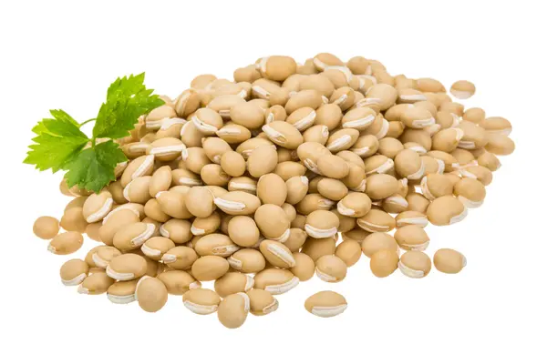 White beans — Stock Photo, Image