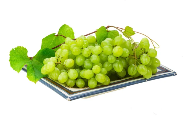 Green bright grape — Stock Photo, Image